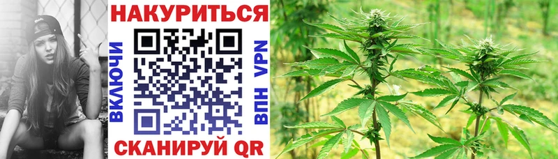 Шишки марихуана ГИДРОПОН что такое Белая Холуница